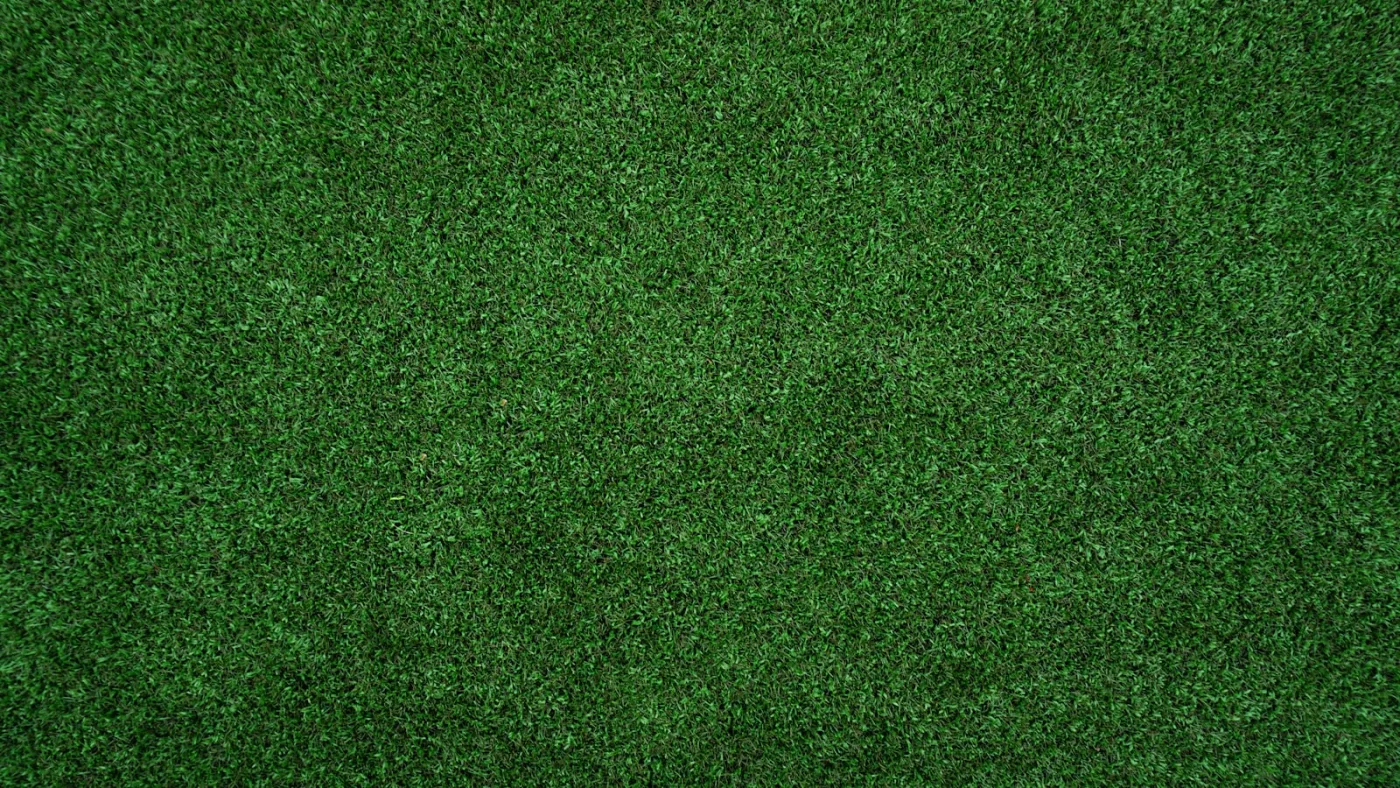 Healthy green grass at the March greenup transition — pre-emergent must go down before crabgrass germination starts